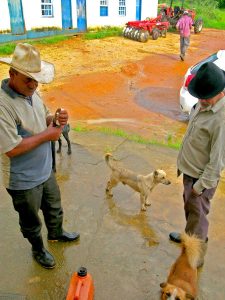 Brazilian Santos Versus Ethiopian Brightness