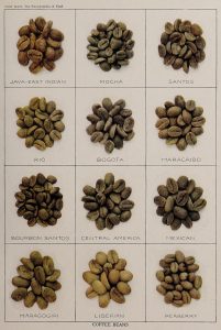 Espresso Extraction Basics Dialing In