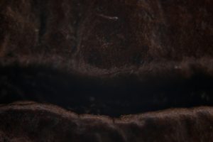The Science Of Crema What It Tells You